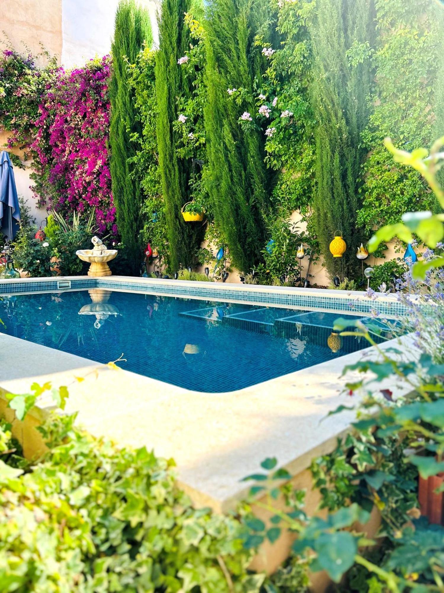Boutique B&B Suite At Casa Grande ピノーソ エクステリア 写真